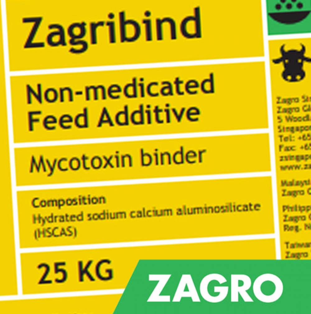 Zagribind